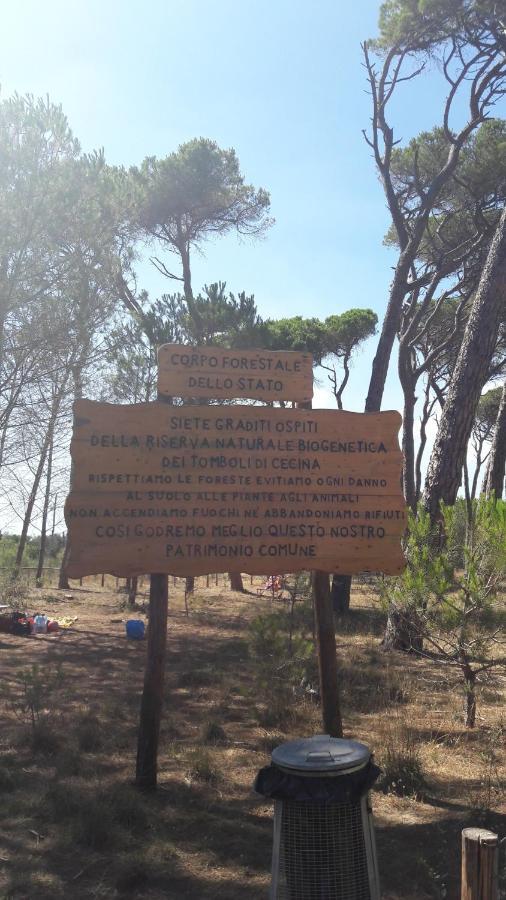 Vada Villetta A 300 Mt Dal Mare 8 Posti Letto Exterior foto