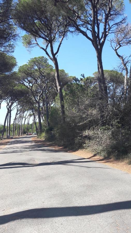 Vada Villetta A 300 Mt Dal Mare 8 Posti Letto Exterior foto
